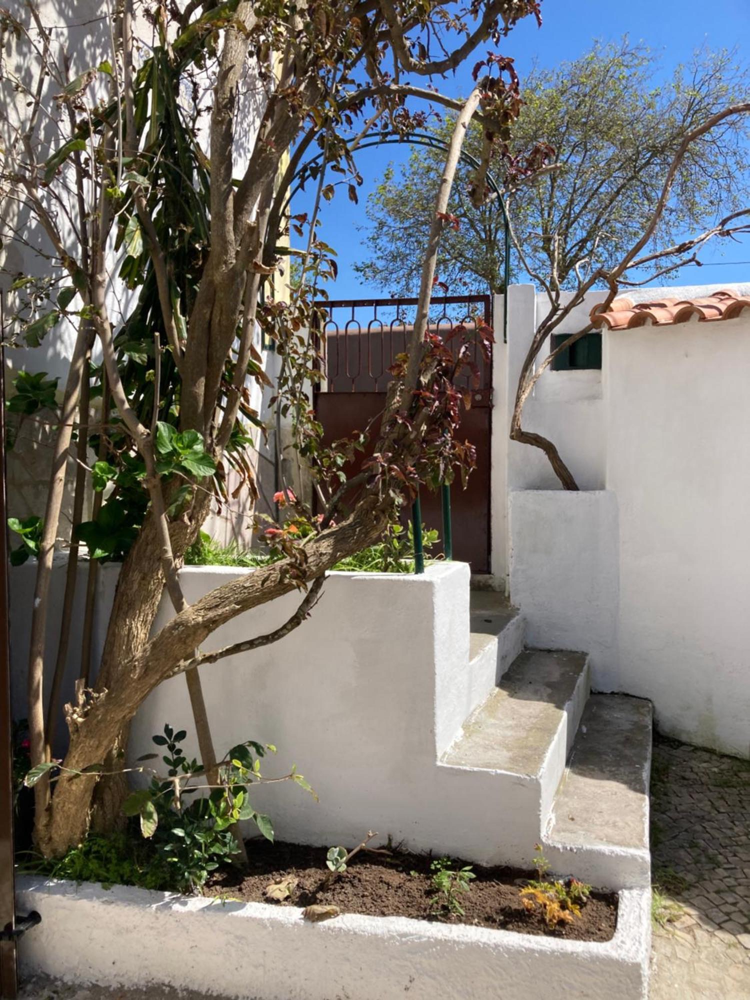 Family House Adraga Villa Sintra Dış mekan fotoğraf